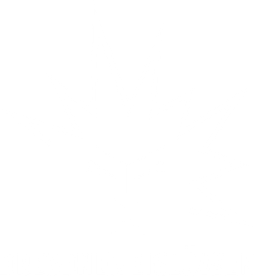 Dresdner Eislöwen
