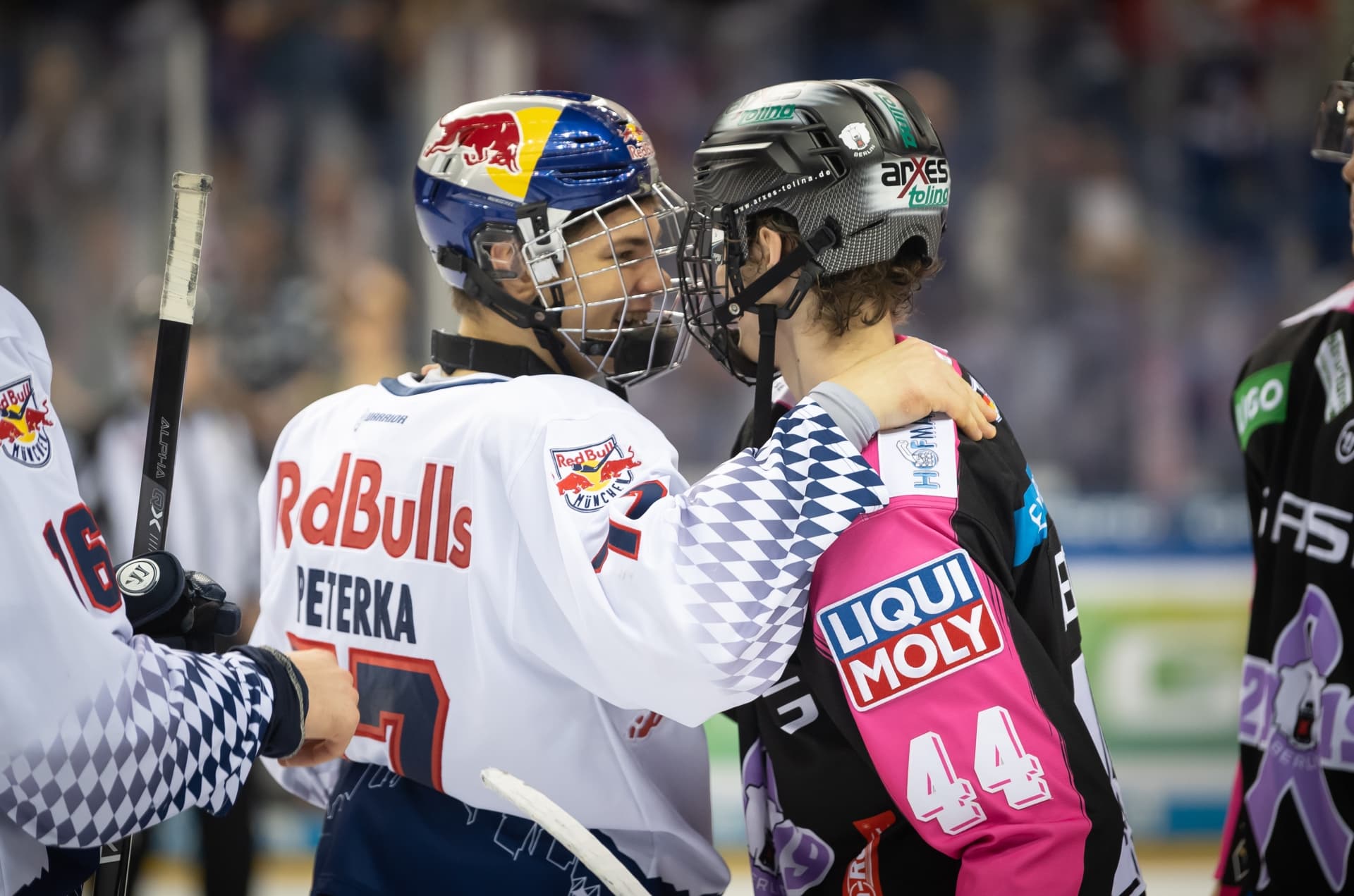 Eisb Ren Berlin Gegen EHC Red Bull M Nchen - DEL - Starbulls Rosenheim E.V.